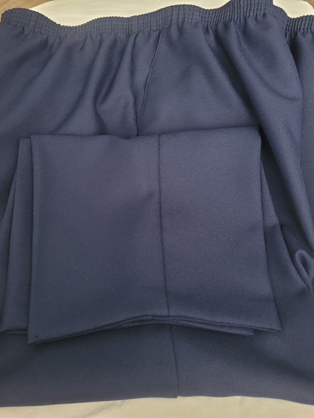 Alfred Dunner Navy Blue Elasic Waist And Pockets 20w Slacks